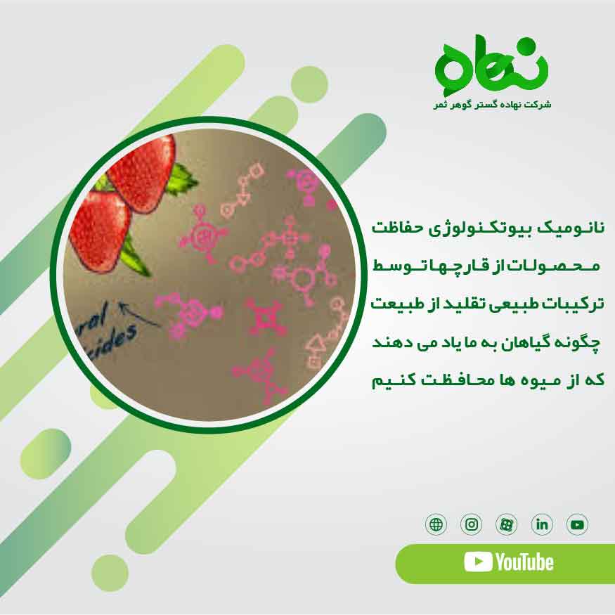 نانومیک بیوتکنولوژی حفاظت محصولات از قارچ ها